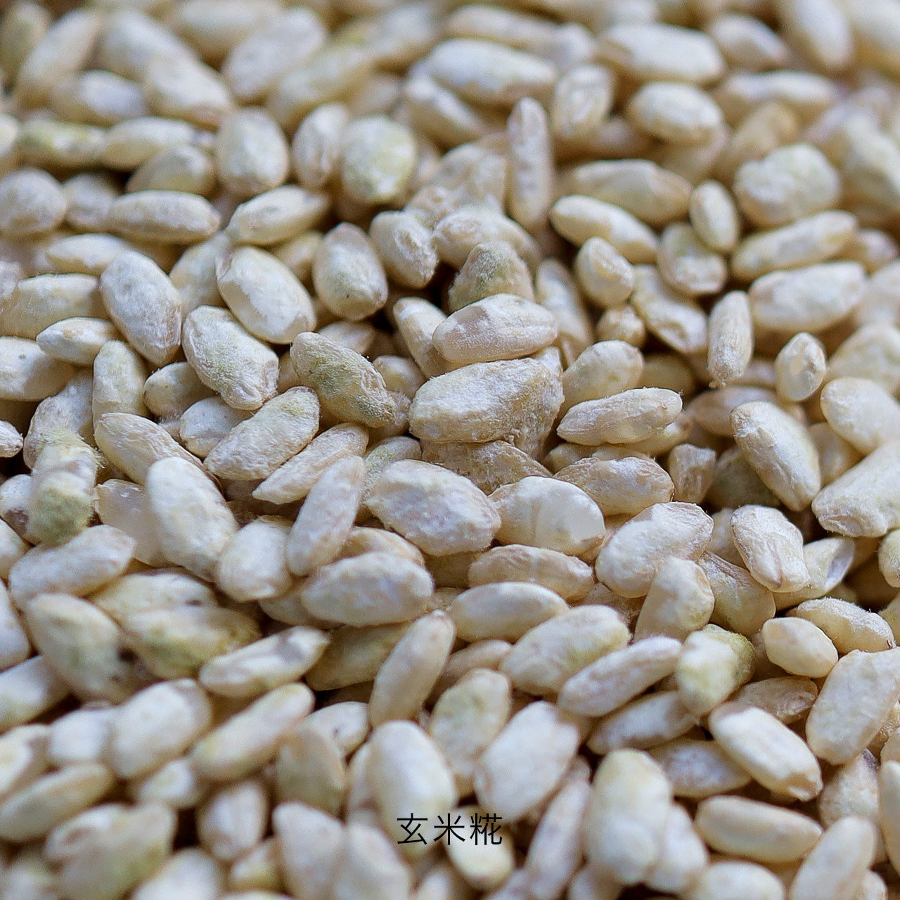 白明 ・ HAKUMEI 生糀 玄米